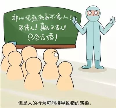 举报有奖！三亚发布非洲猪瘟防控6项措施