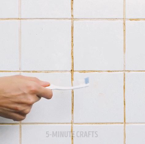 家里墙壁发霉怎么快速去除,墙壁发霉有很多小虫子怎么去除