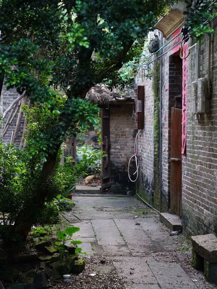 肇庆砚洲岛美景,行摄肇庆