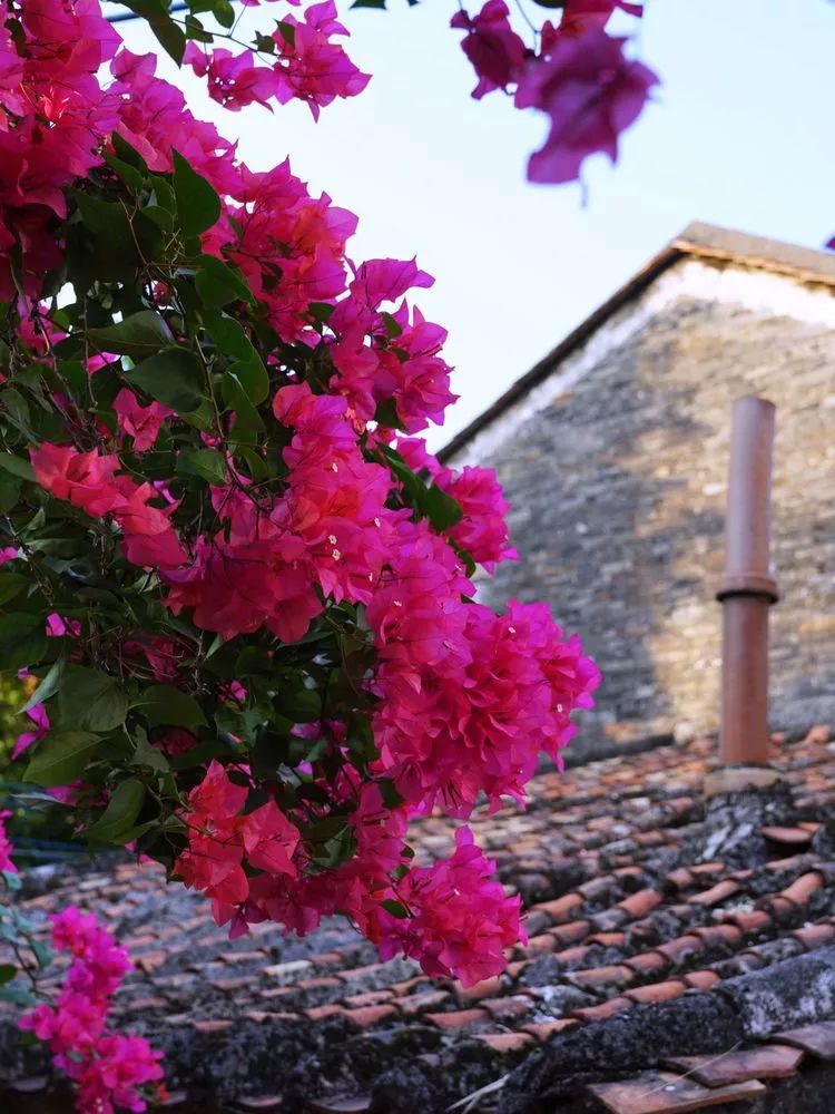 肇庆砚洲岛美景,行摄肇庆