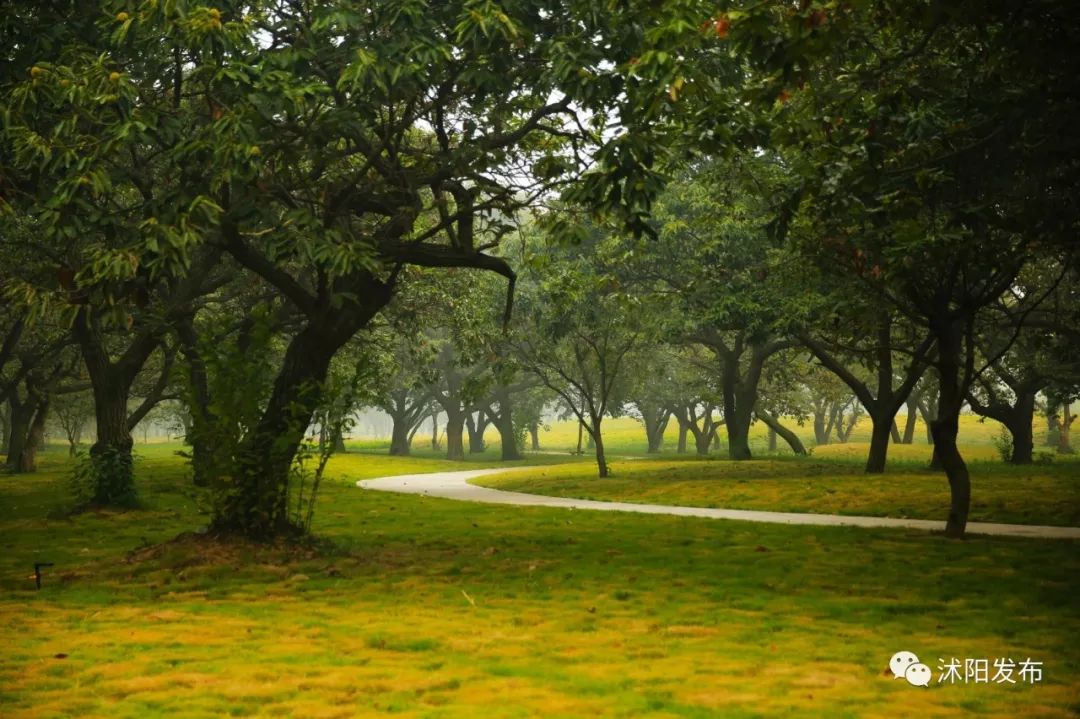 沭阳值得打卡的景区有哪些,沭阳最值得去的地方