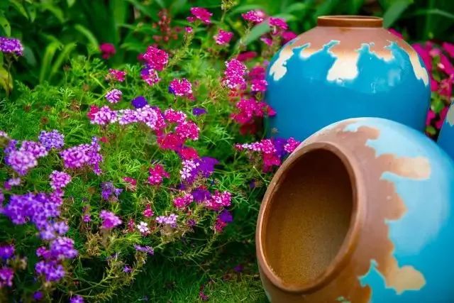 宁德霞浦牛栏杆花园民宿,宁德霞浦民宿推荐