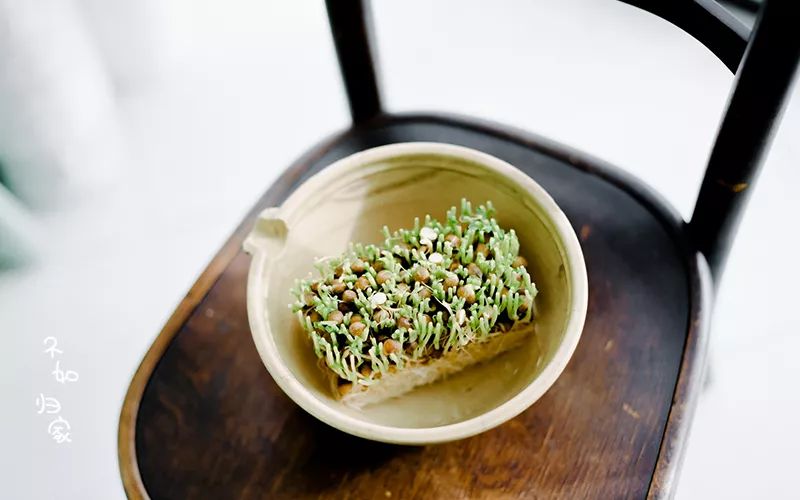 减肥水果牛油果,减肥期的水果牛油果