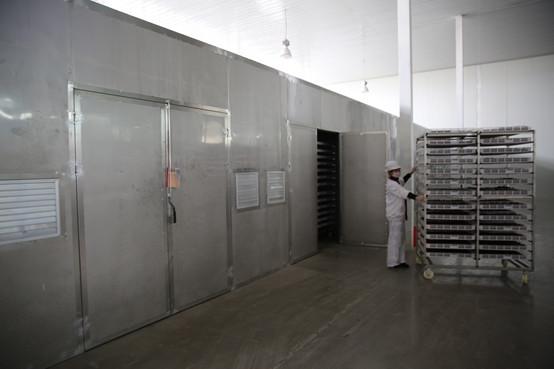 黄李强段淑敏:枣想告诉你|红枣期货上市必知小知识!