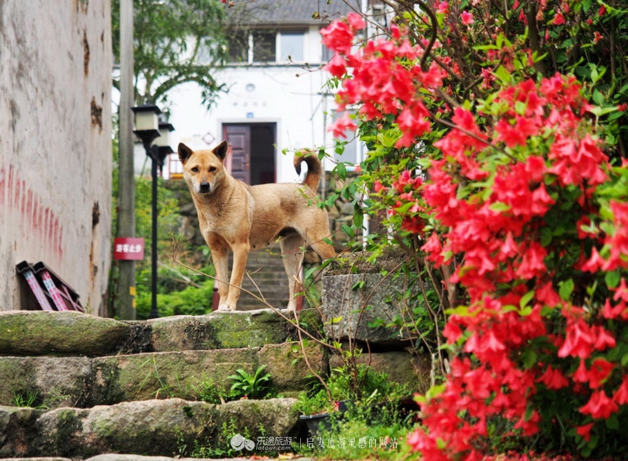 隐藏大山深处的小村庄,一个山清水秀的美丽小村庄