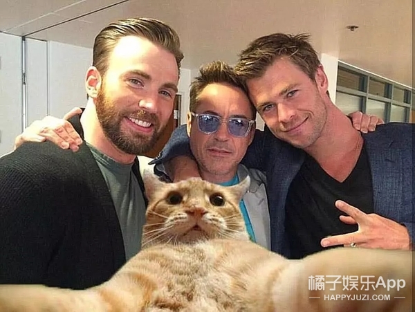 复联4在线观看免费完整版高清版,看复联4必看什么