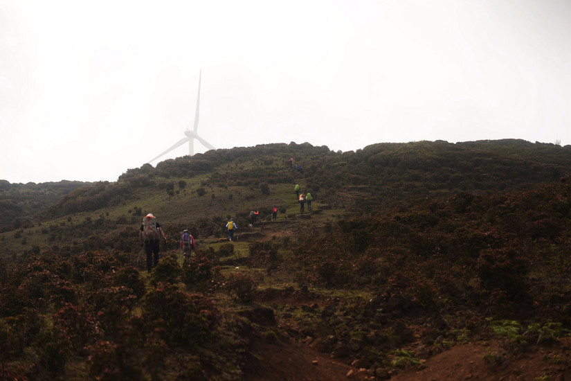 牛棚梁子全部视频,牛棚梁子