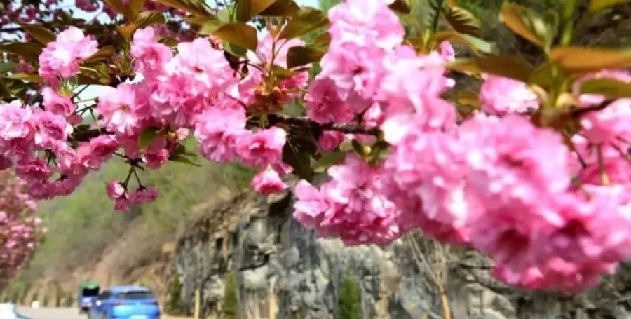 人说好山好水好风光,人说河南好风光