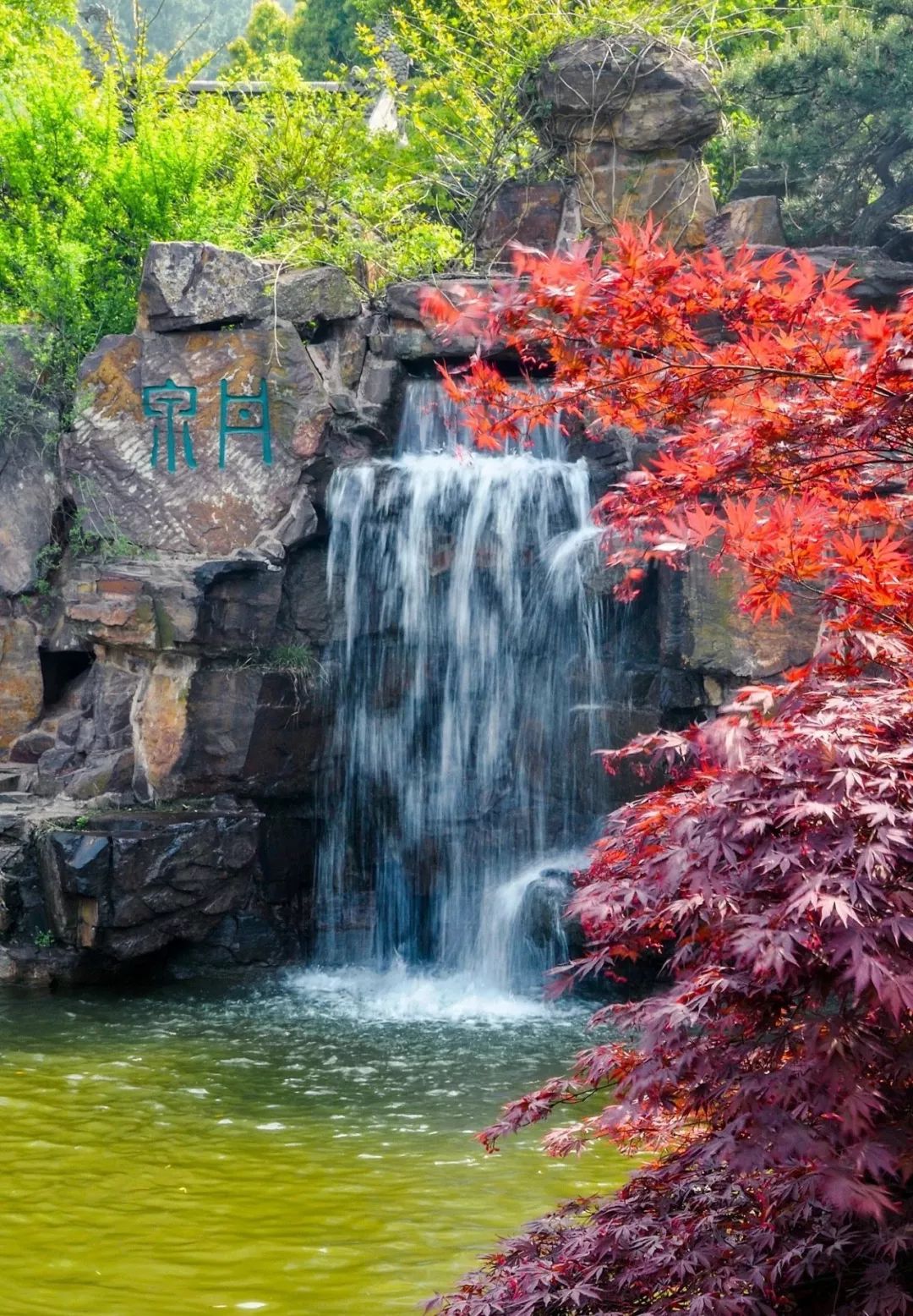 苏州4a级景区门票价格,苏州4a景区门票价格