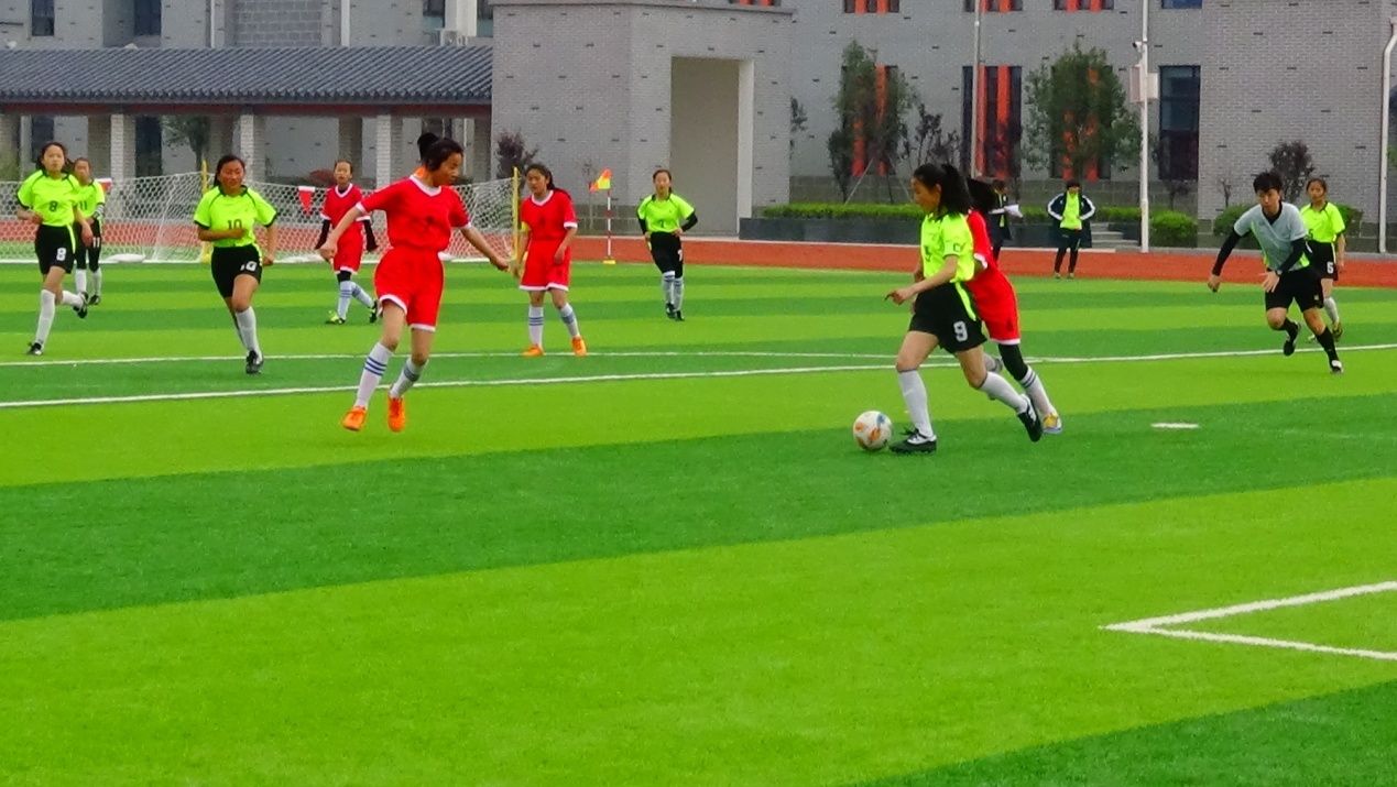 杨店镇中心小学荣获2019年第五届“市长杯”亚军