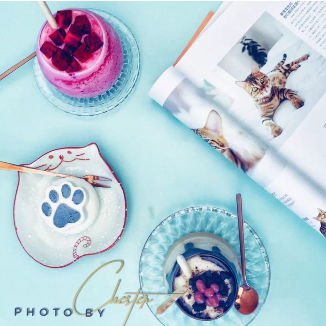 来成都享受美景美食，顺便挼（ruá）个猫可好？