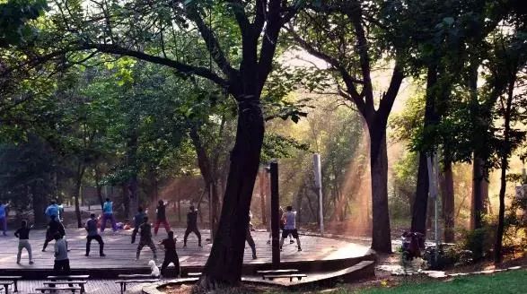 “五一”去哪玩?潍坊假期超丰富文旅大餐来袭!