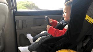 100个早教资源合集,儿童早教外教动画推荐