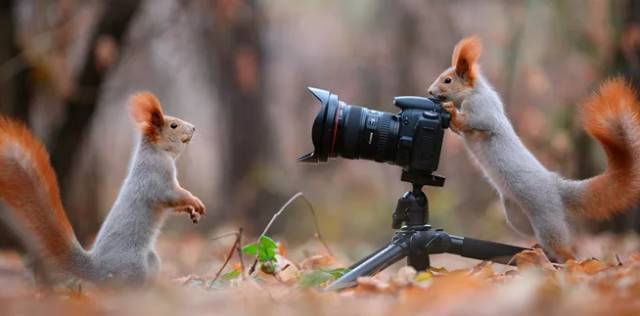 一封来自春天的邀请函,一封来自千里山海的寻味邀请函