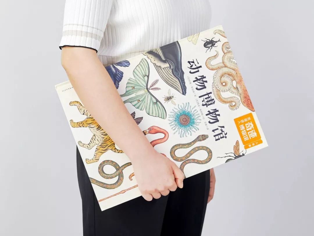 堪称一绝的野生动物画,世界动物画谱