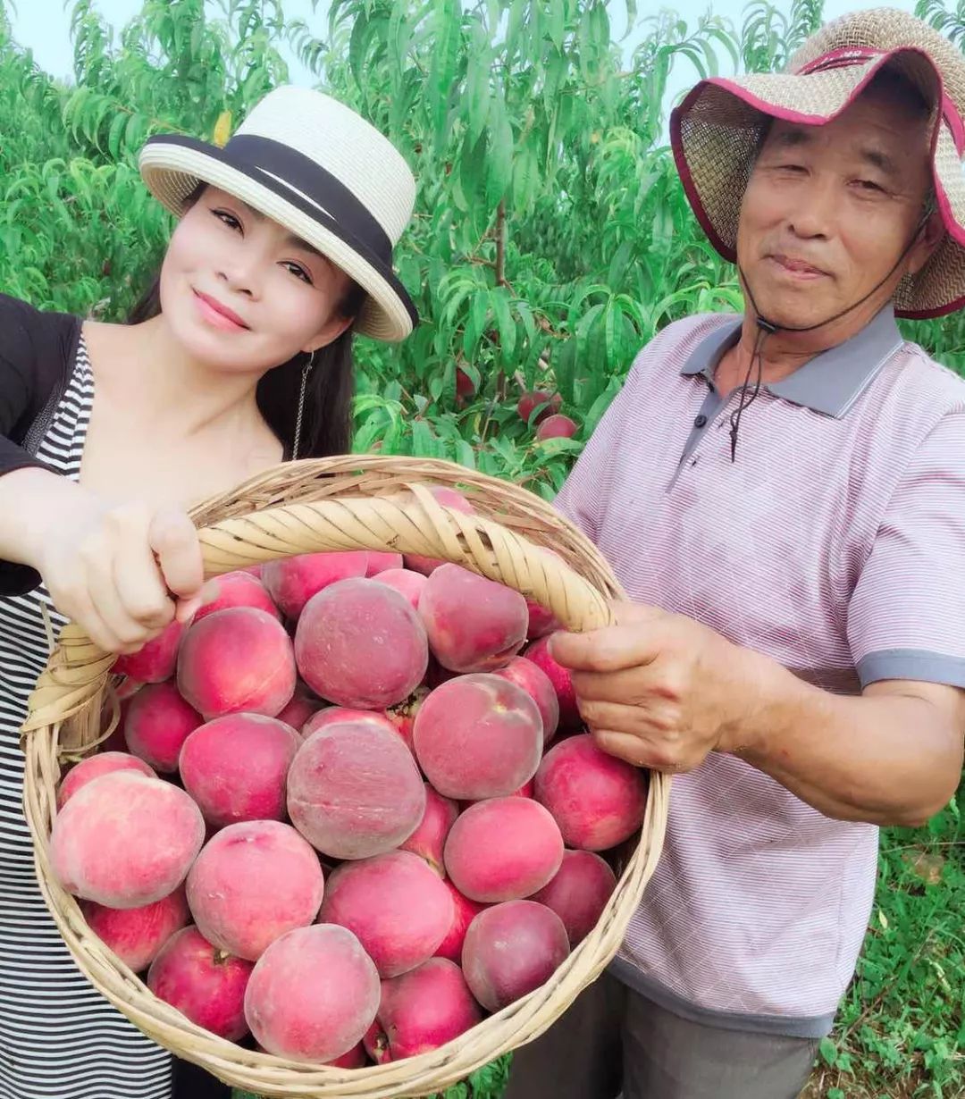 娴峰彛瑗挎捣宀告俯娉夊摢閲屽ソ,闈掑矝瑗挎捣宀告俯娉夊摢閲屽ソ