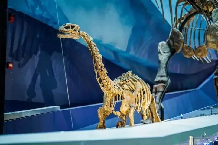 汉口里有什么活动吗,汉口白天儿童旅游攻略