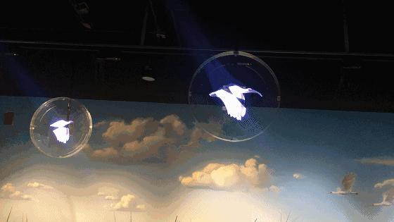 汉口里有什么活动吗,汉口白天儿童旅游攻略