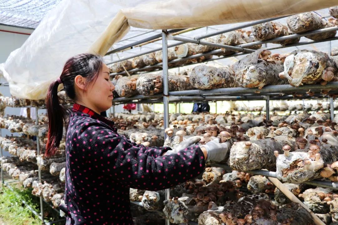 蒋家堰高清风景照片,蒋家堰风景