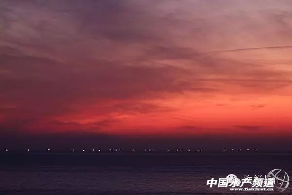 如何区分章鱼墨鱼鱿鱼,怎么区分章鱼乌贼墨鱼鱿鱼