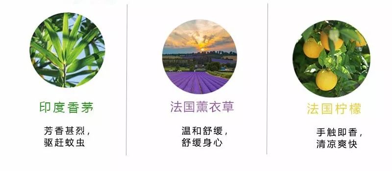 不带薄荷的驱蚊手环 (超级好用的一款驱蚊手环)