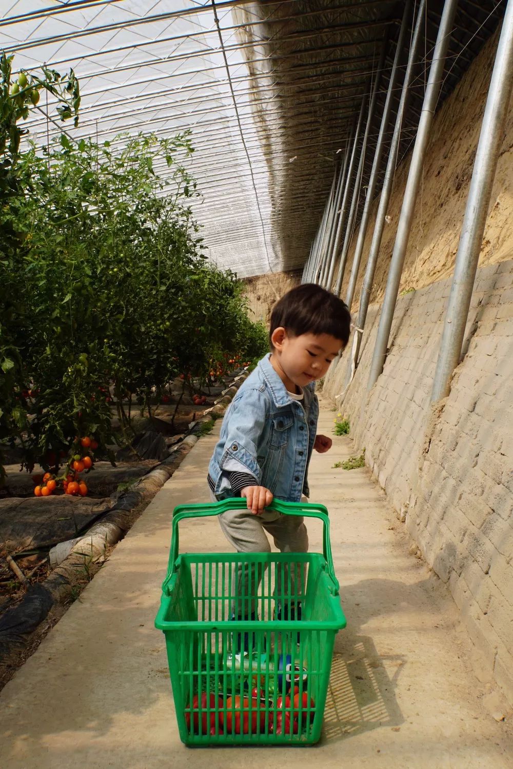 文安鲁能酒店团购,文安鲁能希尔顿酒店三八节自助餐