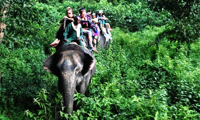 尼泊尔萨朗科旅游攻略,去尼泊尔必须做的十件事