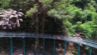 欢乐嘉年华团购19.9元万达,51欢乐马戏嘉年华