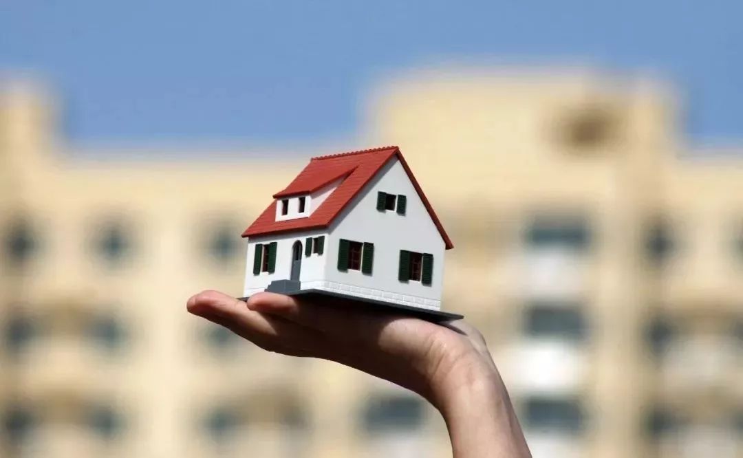 贵阳整治房地产乱象情况,贵阳市违规房地产中介