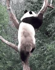 你才可爱你全家都可爱出处,你才可爱你全家都可爱怎么回