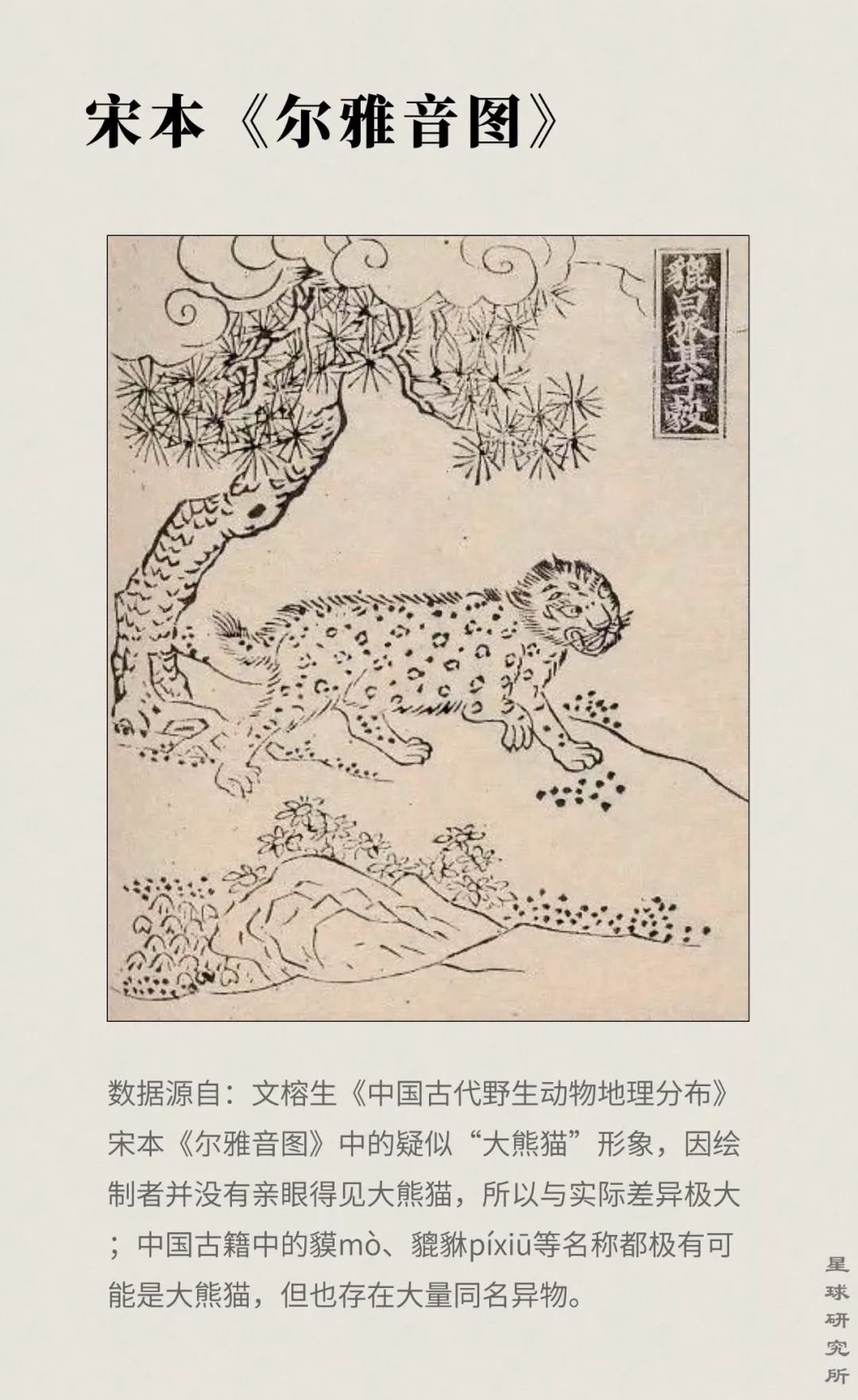 你才可爱你全家都可爱出处,你才可爱你全家都可爱怎么回