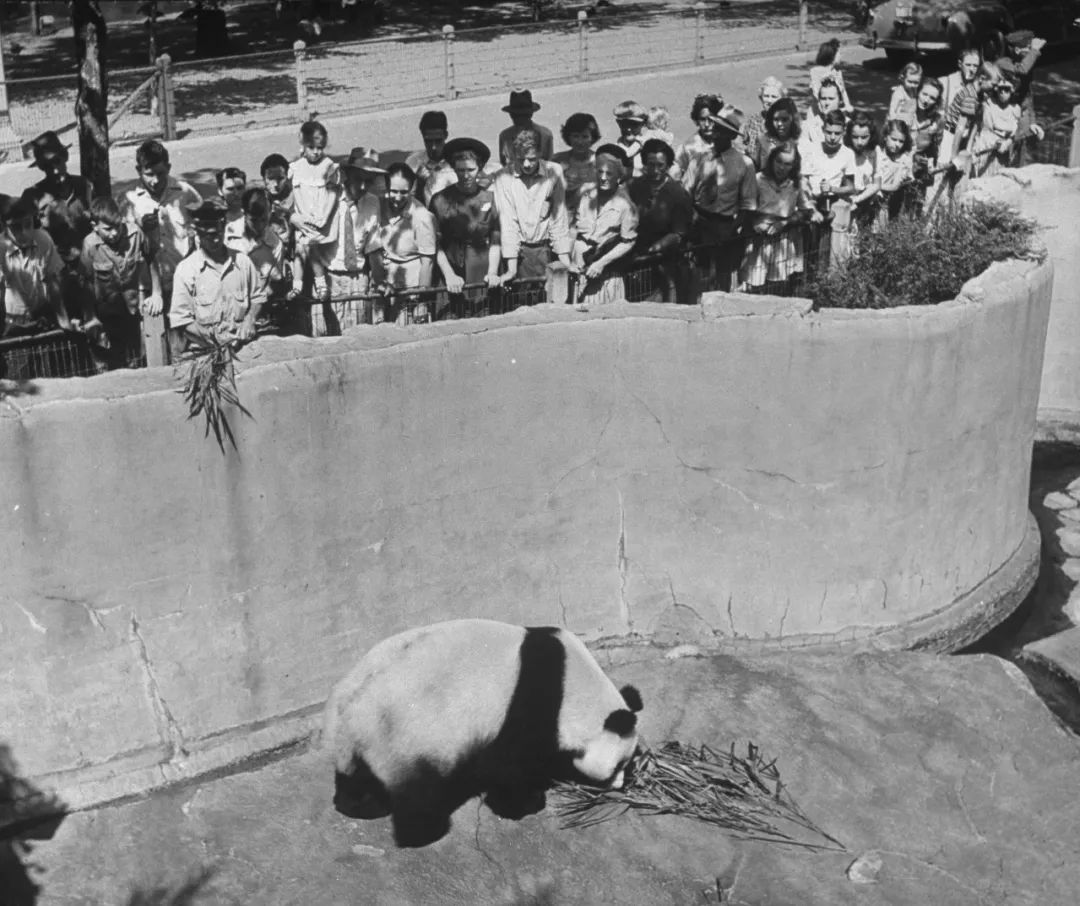 你才可爱你全家都可爱出处,你才可爱你全家都可爱怎么回