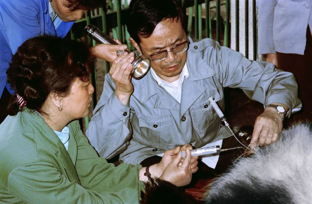 你才可爱你全家都可爱出处,你才可爱你全家都可爱怎么回