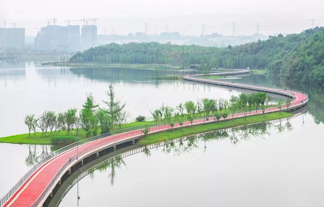 【荐读】熊猫:萌啥子哟,我是要雄起!