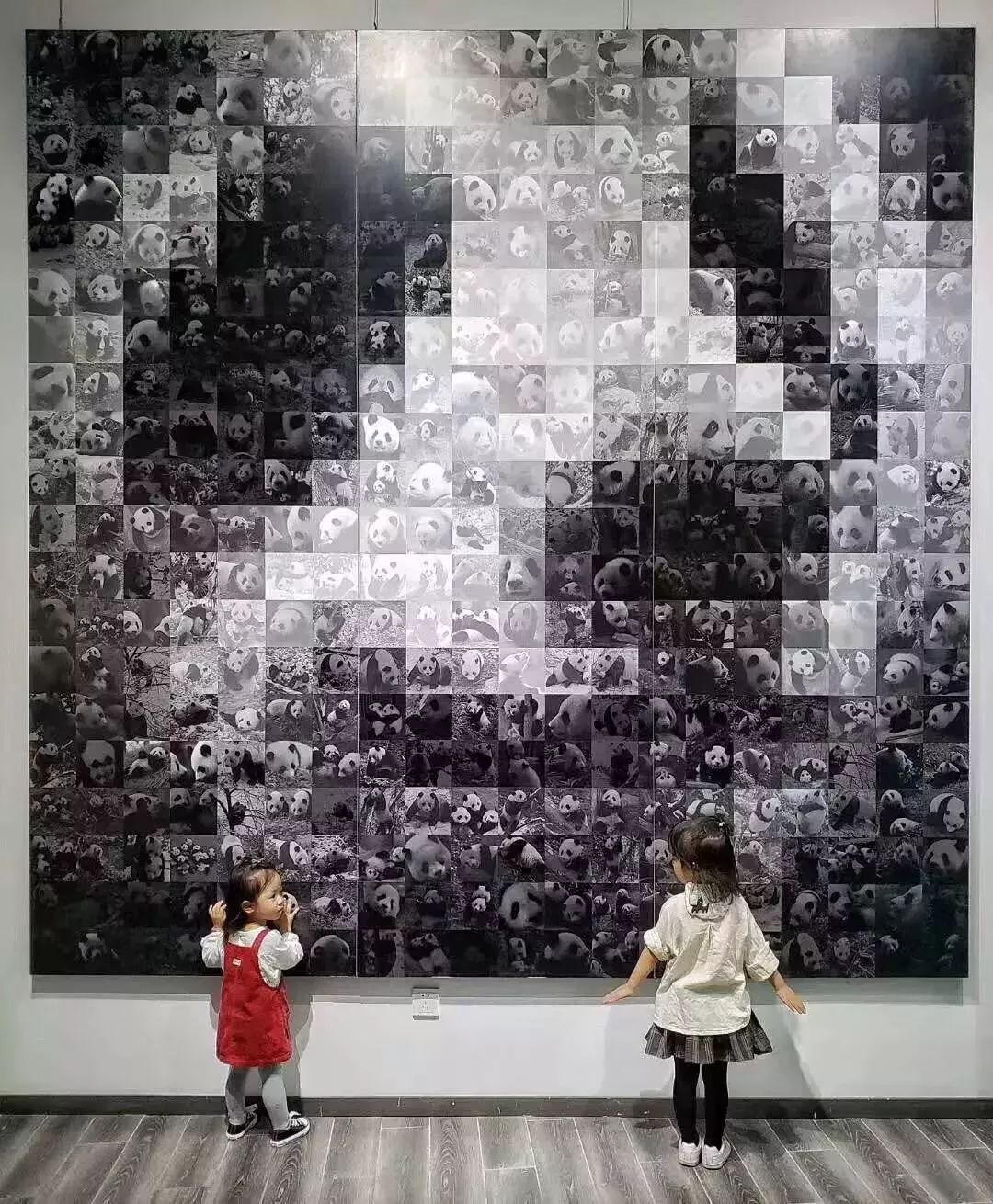 【荐读】熊猫：萌啥子哟，我是要雄起！