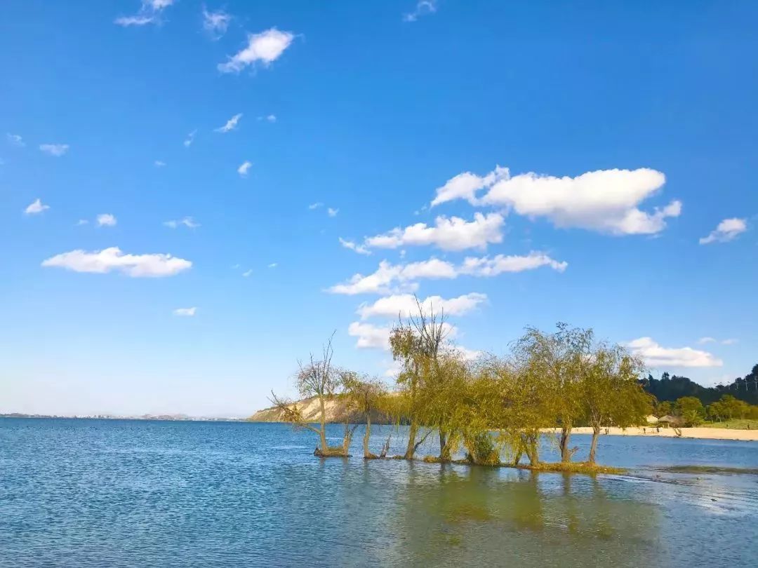 昆明滇池湖畔的美景美的让人陶醉,滇池的落日依旧那么美