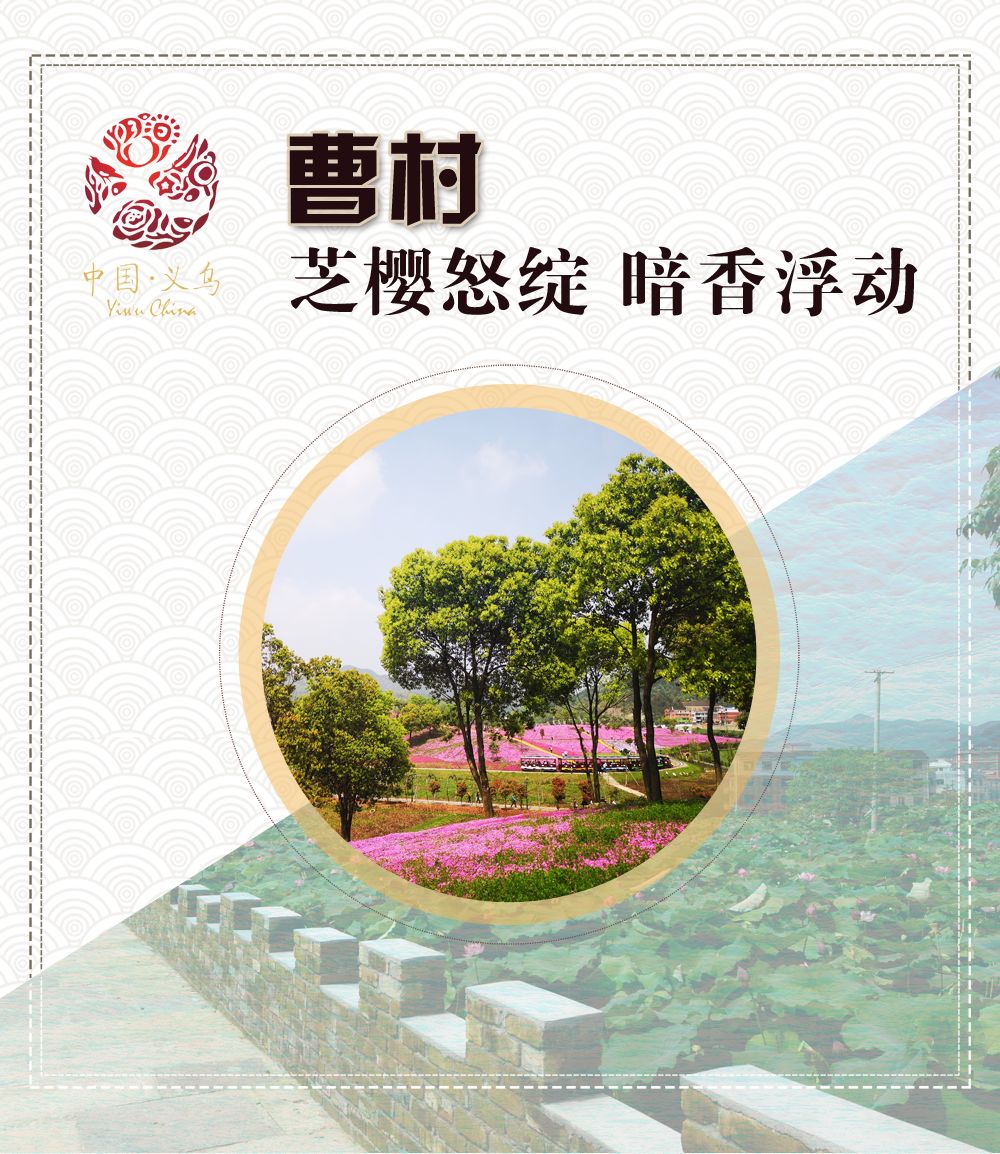 义乌人五一去哪玩,义乌个人攻略