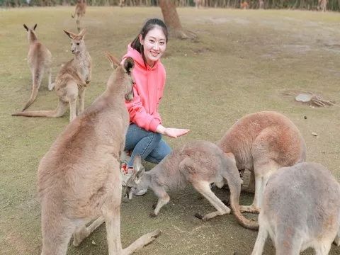 去处｜你真的知道怎么玩转上海野生动物园吗？最全指南在这里！