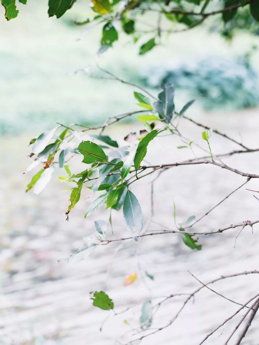 深圳推荐拍照地,深圳高逼格适合拍照的地方