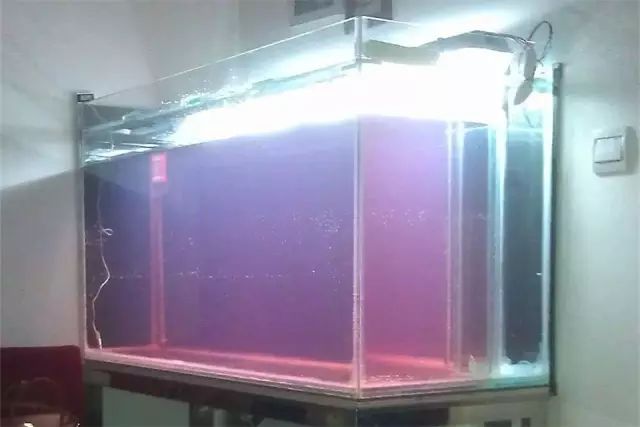 3000块的DIY罗缸，值么？