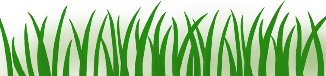 七宝万科招聘会,上海万科面试