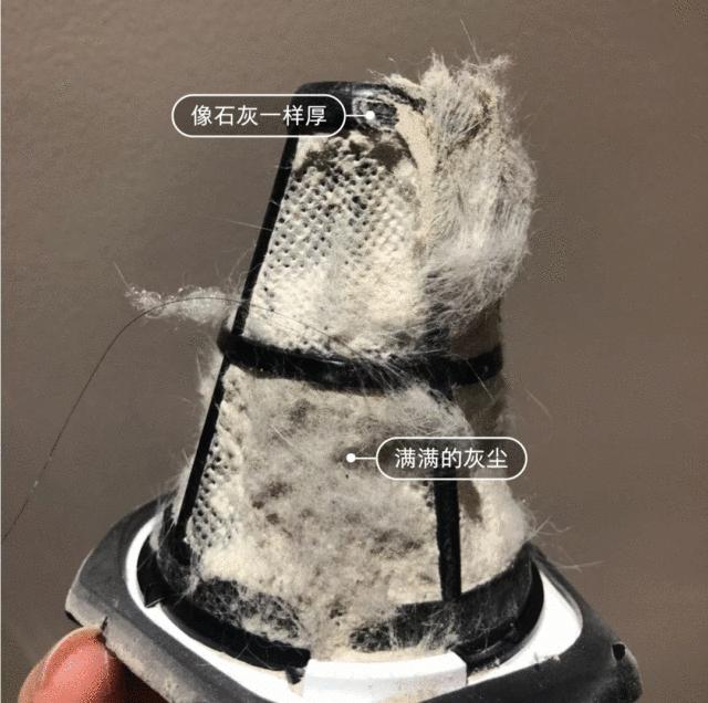 日本人都用这款除螨仪,日本老牌除螨仪