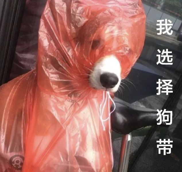 花5千买一双拖鞋,花5800买双拖鞋