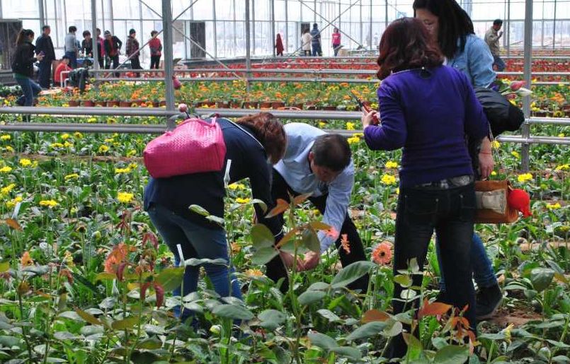 大连五一小长假游玩地推荐,五一旅游热门地方大连
