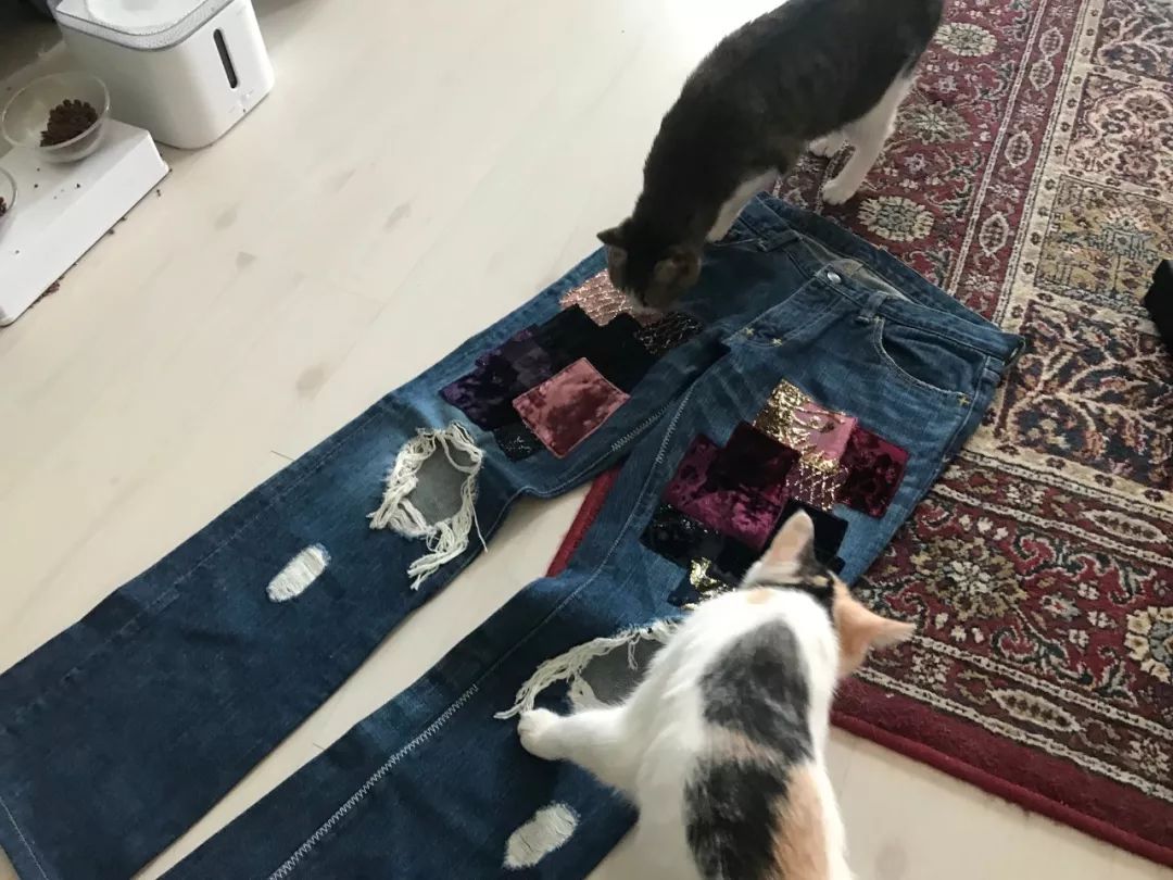 理性买宝马,理性消费买不起