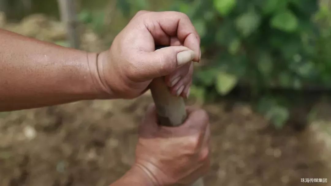 双手起满老茧的男孩,17岁男孩长了手上老茧