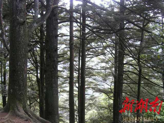 撩开神秘的面纱,撩开圣湖神秘的面纱