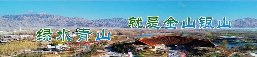 走一会脚底麻怎么回事,脚底起一堆小泡泡怎么治疗