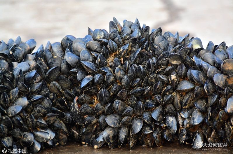 青岛市场监管局提醒,青岛市场监督管理局温馨提醒