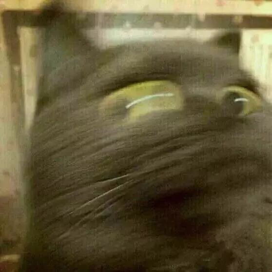 在警察学院的一天,在看守所体验一天生活